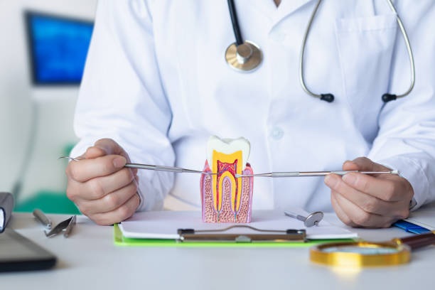 Best Emergency Dental Care for Broken or Chipped Teeth in Cera, AL